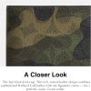 imageCoach Mens Slim BillfoldSignature Camo