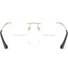 imageCoach Womens Hc5185 Cat Eye Prescription Eyewear FramesShiny Light GoldDemo Lens