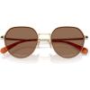 imageCoach Mens Hc7179 Round SunglassesShiny Light GoldBrown Solid