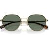 imageCoach Mens Hc7179 Round SunglassesShiny Light GoldGreen Solid