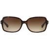 imageCoach HC8116 Blair Sunglasses Dark TortoiseBrown Gradient 56 mm