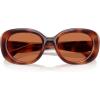 imageCOACH Womens Hc8391u Sculpted C Hardware Universal Fit Oval SunglassesCaramel TortoiseBrown Solid
