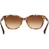 imageCoach HC8132 Sunglasses Light Brown Confetti TortoiseBrown Gradient 57 mm