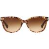imageCoach HC8132 Sunglasses Light Brown Confetti TortoiseBrown Gradient 57 mm