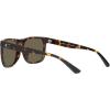 imageCoach Mens Hc8367u Universal Fit Square SunglassesDark TortoiseBrown Solid