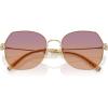 imageCoach Womens Hc7175 Butterfly SunglassesShiny Light GoldBurgundy Sunset Gradient
