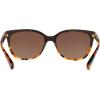 imageCoach Womens Hc8132 Cat Eye SunglassesBlack Tortoise GradientBrown Gradient Polarized