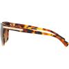imageCoach Womens Hc8132 Cat Eye SunglassesBlack Tortoise GradientBrown Gradient Polarized