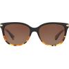 imageCoach Womens Hc8132 Cat Eye SunglassesBlack Tortoise GradientBrown Gradient Polarized