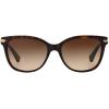imageCoach Womens Hc8132 Cat Eye SunglassesDark TortoiseDark Brown Gradient