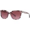 imageCoach Womens Hc8132 Cat Eye SunglassesPurple TortoiseBurgundy Gradient
