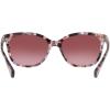 imageCoach Womens Hc8132 Cat Eye SunglassesPurple TortoiseBurgundy Gradient