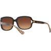 imageCoach Womens Hc8169 Square SunglassesBlackBrown Gradient