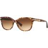 imageCoach HC8132 Sunglasses Light Brown Confetti TortoiseBrown Gradient 57 mm