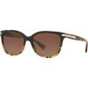 imageCoach Womens Hc8132 Cat Eye SunglassesBlack Tortoise GradientBrown Gradient Polarized