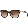 imageCoach Womens Hc8132 Cat Eye SunglassesDark TortoiseDark Brown Gradient