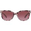 imageCoach Womens Hc8132 Cat Eye SunglassesPurple TortoiseBurgundy Gradient