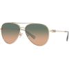 imageCoach Womens Hc7140 Aviator SunglassesShiny Light GoldGreen Brown Gradient