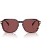 Dark Tortoise/Caramel Tortoise/Wine Solid