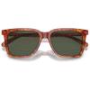 imageCoach Mens Hc8385u Universal Fit Square SunglassesCaramel TortoiseArmy Green Solid