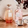 imageCoach Dreams Sunset Eau de Parfum  Long Lasting Fragrance with notes of Pear Jasmine ampamp Tonka Bean3 Fl Oz Pack of 1