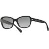 imageCoach HC8232 Sunglasses BlackDark Grey Gradient 56 mm