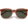 imageCoach Mens Hc8384u Universal Fit Square SunglassesCaramel TortoiseArmy Green Solid