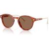 imageCoach Mens Hc8428u Universal Fit Round SunglassesCaramel TortoiseBrown Solid