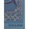 imageCoach womens Tabby Printed Silk SquareDeep Blue