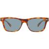 Tortoise/Transparent Beige/Light Blue Solid