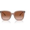 Transparent Brown/Grey/Brown Gradient