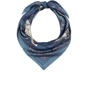 imageCoach womens Tabby Printed Silk SquareDeep Blue