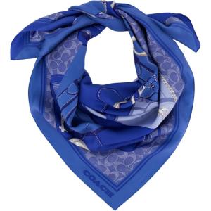 imageCoach womens Tabby Printed Silk SquareSky Blue