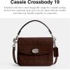 imageCoach Cassie Crossbody 19 Maple