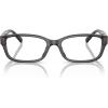 Transparent Grey/Demo Lens