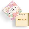 imageCOACH Womens Signature Tea Rose Bangle Boxed Bracelet