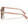 imageCoach Mens Hc8382 Square SunglassesCaramel TortoiseArmy Green Solid