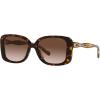 imageCoach Womens Hc8334u Universal Fit Butterfly SunglassesDark TortoiseDark Brown Gradient
