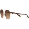 imageCoach Womens Hc7147 Hexagonal SunglassesShiny Light GoldBrown Gradient