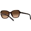 imageCoach Womens Hc8349u Universal Fit Butterfly SunglassesDark TortoiseBrown Gradient