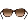 imageCoach Womens Hc8349u Universal Fit Butterfly SunglassesDark TortoiseBrown Gradient