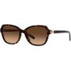 imageCoach Womens Hc8349u Universal Fit Butterfly SunglassesDark TortoiseBrown Gradient