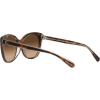 imageCoach Womens Hc8365u Universal Fit Cat Eye SunglassesTortoiseTransparent BeigeBrown Gradient