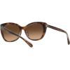 imageCoach Womens Hc8365u Universal Fit Cat Eye SunglassesTortoiseTransparent BeigeBrown Gradient