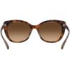 imageCoach Womens Hc8365u Universal Fit Cat Eye SunglassesTortoiseTransparent BeigeBrown Gradient