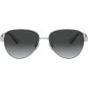 imageCoach HC7111 Sunglasses SilverDark Grey Gradient Polarized 57 mm