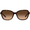 imageCoach Womens Hc8349u Universal Fit Butterfly SunglassesDark TortoiseBrown Gradient