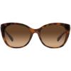 imageCoach Womens Hc8365u Universal Fit Cat Eye SunglassesTortoiseTransparent BeigeBrown Gradient