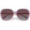 imageCoach Womens Hc8403d Square SunglassesTransparent PurpleGrey Purple Gradient Polarized
