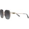 imageCoach HC7141 Sunglasses Transparent GreyShiny Light GoldGrey Gradient 54 mm